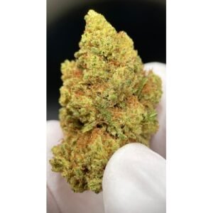 Super Lemon Haze cbd Greenhouse