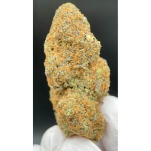 Gelato 41 CBD Greenhouse